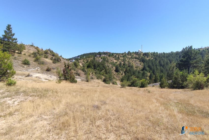 Doruk Emlak Ofisi > DORUK EMLAKTAN BUDAMIŞTA MÜCAVİR ALANDA SATILIK 3.386 M² ARAZİ