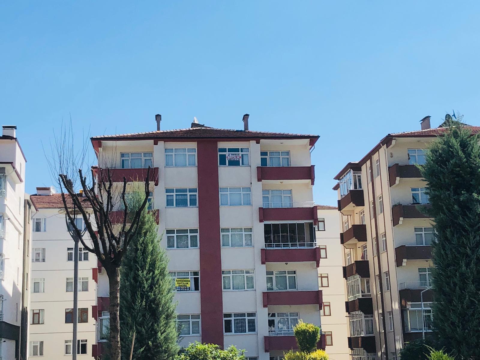 Doruk Emlak Ofisi >