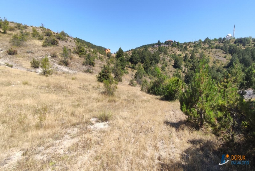 Doruk Emlak Ofisi > DORUK EMLAKTAN BUDAMIŞTA MÜCAVİR ALANDA SATILIK 3.386 M² ARAZİ