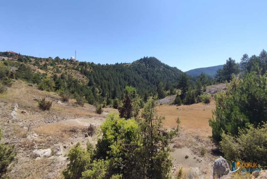 Doruk Emlak Ofisi > DORUK EMLAKTAN BUDAMIŞTA MÜCAVİR ALANDA SATILIK 3.386 M² ARAZİ