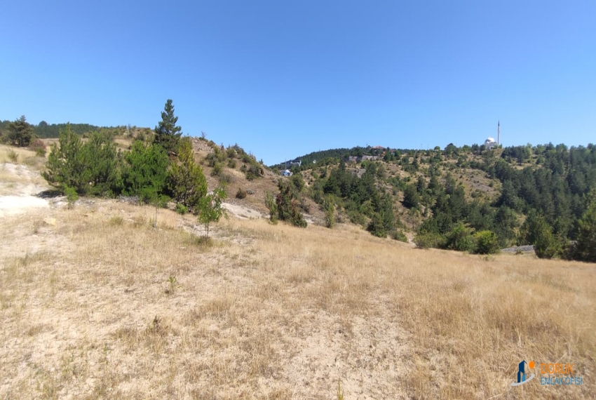 Doruk Emlak Ofisi > DORUK EMLAKTAN BUDAMIŞTA MÜCAVİR ALANDA SATILIK 3.386 M² ARAZİ